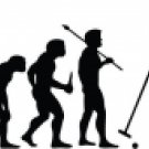 Evolution of Polo Horse