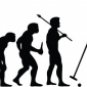 Evolution of Polo Horse