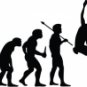 Evolution of Rock Mountain Climbing