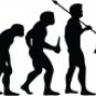 Evolution of Rock Star