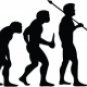 Evolution of Rugby