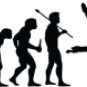 Evolution of Skydiving 1