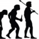 Evolution of Soccer