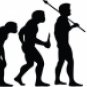 Evolution of Soccer