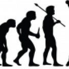 Evolution of Softball