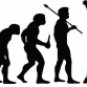 Evolution of Softball