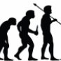 Evolution of Surfing