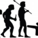 Evolution of Swimming