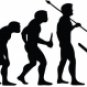 Evolution of Tree Sniper