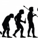 Evolution of Trumpet