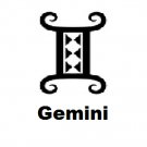 Gemini 1