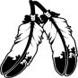 2 Feathers 3