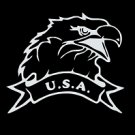 USA EAGLE (6"X 6")