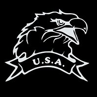 USA EAGLE (6"X 6")