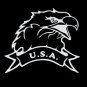 USA EAGLE (6"X 6")