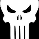 THE PUNISHER #6