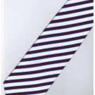 EPP10 Puple White Blue Stripe Neck Tie
