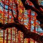 Stretched Canvas Art Red Wood Decorative Painting Set of 5
