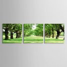 Stretched Canvas Art Landscape Green Trees Road Set of 3