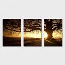 Stretched Canvas Print Three Panels Canvas Horizontal Print Wall Decor For Home Decoration
