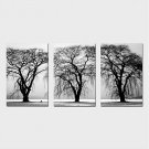 Stretched Canvas Print Three Panels Canvas Horizontal Print Wall Decor For Home Decoration