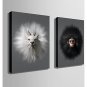E-HOME Stretched Canvas Art  Exaggerated Animal Portraits  Decoration Painting Set Of 2