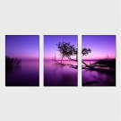 Stretched Canvas Print Three Panels Canvas Horizontal Print Wall Decor For Home Decoration