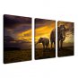 Stretched Canvas PrintThree Panels Canvas Horizontal Print Wall Decor For Home Decoration