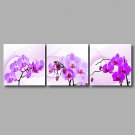 Floral/Botanical Modern,Three Panels Canvas Horizontal Print Wall Decor For Home Decoration