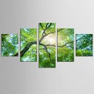 Landscape Floral/Botanical Modern Pastoral,Five Panels Canvas Any Shape Print Wall Decor For Home