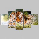 Unframed Canvas Print Animal Modern,Five Panels Canvas Any Shape Print Wall Decor For Home Decorat