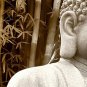 Stretched Canvas Art Landscape The Buddha In The Bamboo Forest Set of 5