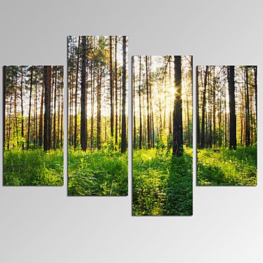 VISUAL STARSunlight in Forest Landscape Picture Print on Canvas for Home Decoration Ready to Hang