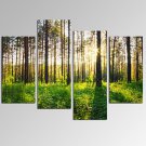 VISUAL STARSunlight in Forest Landscape Picture Print on Canvas for Home Decoration Ready to Hang