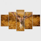 Stretched Canvas Print Animal Style Modern,Five Panels Canvas Any Shape Print Wall Decor For Home