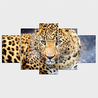 Stretched Canvas Print Animal Style Modern,Five Panels Canvas Any Shape Print Wall Decor For Home