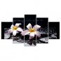 Stretched Canvas Print Floral/Botanical Style Modern,Five Panels Canvas Any Shape Print Wall Decor
