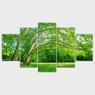 Stretched Canvas Print Floral/Botanical Modern,Five Panels Canvas Any Shape Print Wall Decor For H