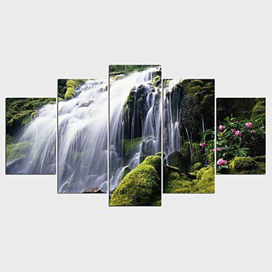 Stretched Canvas Print Floral/Botanical Style Modern,Five Panels Canvas Any Shape Print Wall Decor