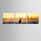 Canvas Set Abstract Animal Classic European Style,Three Panels Canvas Square Print Wall Decor For