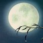 E-HOME Stretched Canvas Art The Moonlit Night Scenery Decorative Painting Set of 5