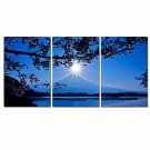 VISUAL STARFull Moon Stretched Canvas Print Mountain Scenery Wall Art Ready to Hang