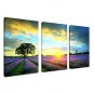 Stretched Canvas PrintThree Panels Canvas Horizontal Print Wall Decor For Home Decoration