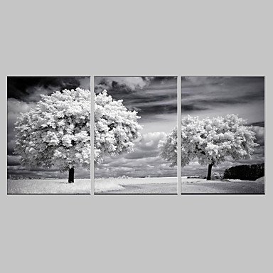 E-HOME Stretched Canvas Art The Trees Decoration Painting Set of 3