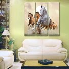 Stretched Canvas Art Running Horse Set of 3