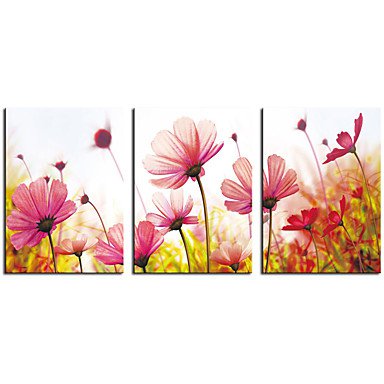 Stretched Canvas Print Contemporary,Three Panels Canvas Horizontal Print Wall Decor For Home Decor