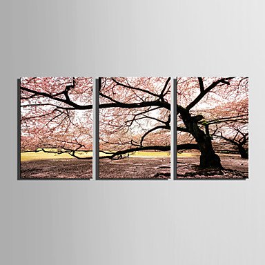 E-HOME Stretched Canvas Art Cherry Tree Decorative Painting Set of 3