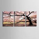 E-HOME Stretched Canvas Art Cherry Tree Decorative Painting Set of 3