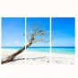 VISUAL STAR3 Panel Seascape Photos Print on Canvas Wall Decoration Ocean Canvas Artwork Ready to H