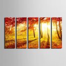 E-HOME Stretched Canvas Art The Sunset Red Maple Forest Decorative Painting Set of 5